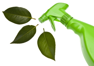 Small_carpet-cleaning-services-franchise