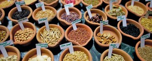 Small_seed_saving