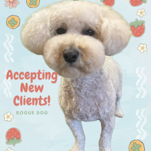 Rogue Dog Grooming