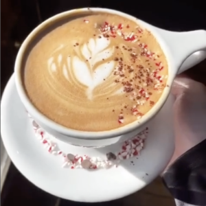 Backlot Coffee | 2006 Central Street