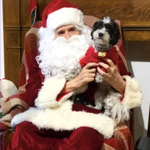 Follow Your Nose Pets | 2016 Central Street