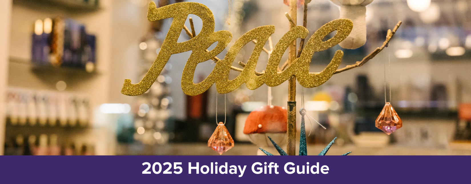 New_newsletter_660_x_258_27_