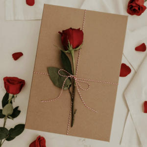 Bella Oter | 1017 Davis St.