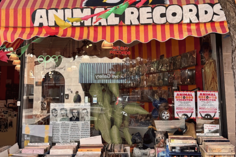 Animal Records