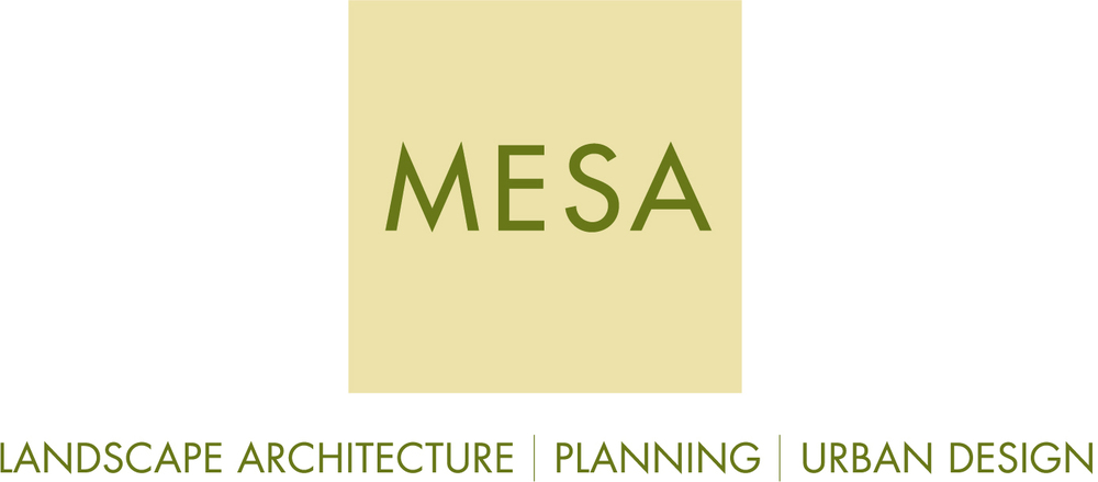 MESA Design Group